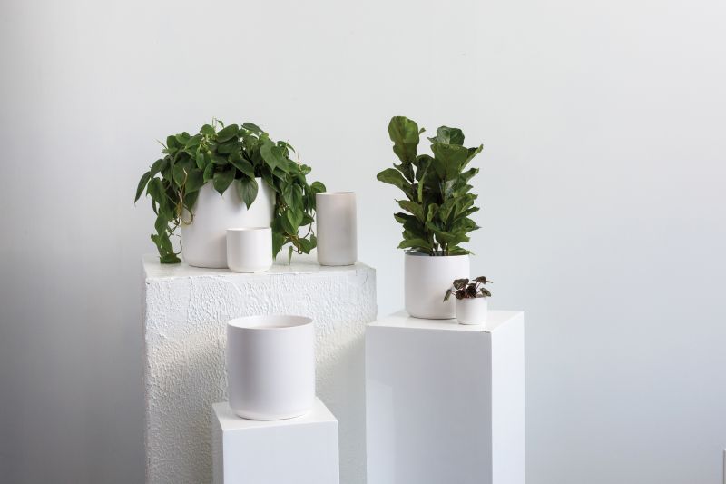 Kendall Collection 4.75"x 4.5" Set Of 4 By Accent Decor | Planters, Troughs & Cachepots | Modishstore - 6