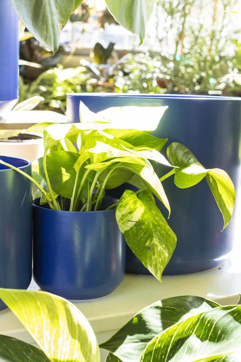 Kendall Collection 4.75"x 4.5" Set Of 4 By Accent Decor | Planters, Troughs & Cachepots | Modishstore - 3