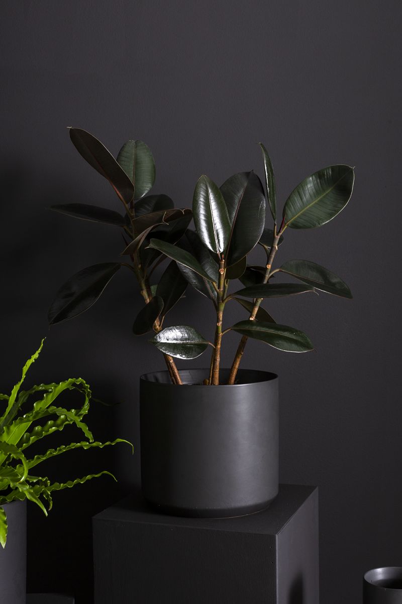 Kendall Collection 4.75"x 4.5" Set Of 4 By Accent Decor | Planters, Troughs & Cachepots | Modishstore - 5