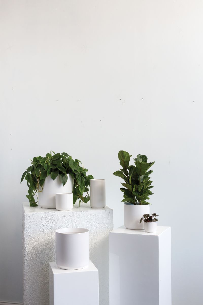 Kendall Collection 7"x 6.75" Set Of 4 By Accent Decor | Planters, Troughs & Cachepots | Modishstore - 1