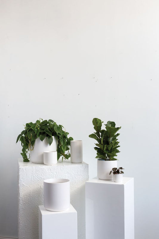 Kendall Collection 7"x 6.75" Set Of 4 By Accent Decor | Planters, Troughs & Cachepots | Modishstore - 1