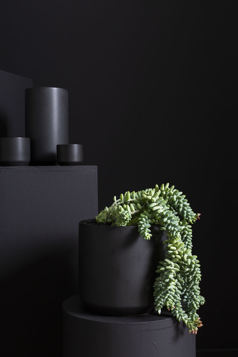 Kendall Collection 7"x 6.75" Set Of 4 By Accent Decor | Planters, Troughs & Cachepots | Modishstore - 8