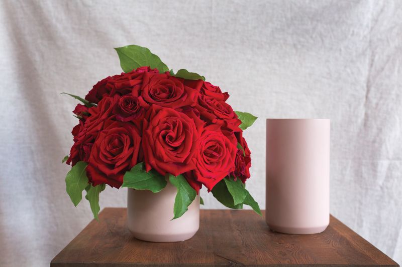 Kendall Collection 4.5"x 8" Vases Set Of 4 By Accent Decor | Vases | Modishstore - 3