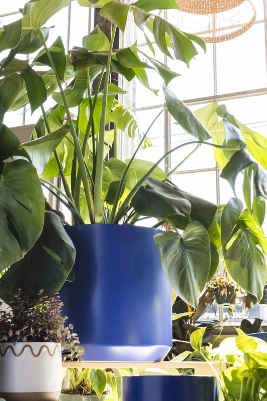 Kendall Collection 12"x 11.75" Pot By Accent Decor | Planters, Troughs & Cachepots | Modishstore - 1