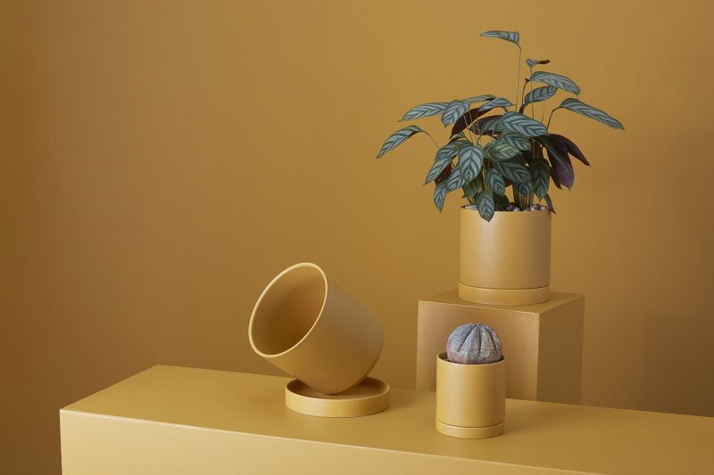 Romey Pot 4.25"x 4.75" Set Of 4 By Accent Decor | Planters, Troughs & Cachepots | Modishstore - 15