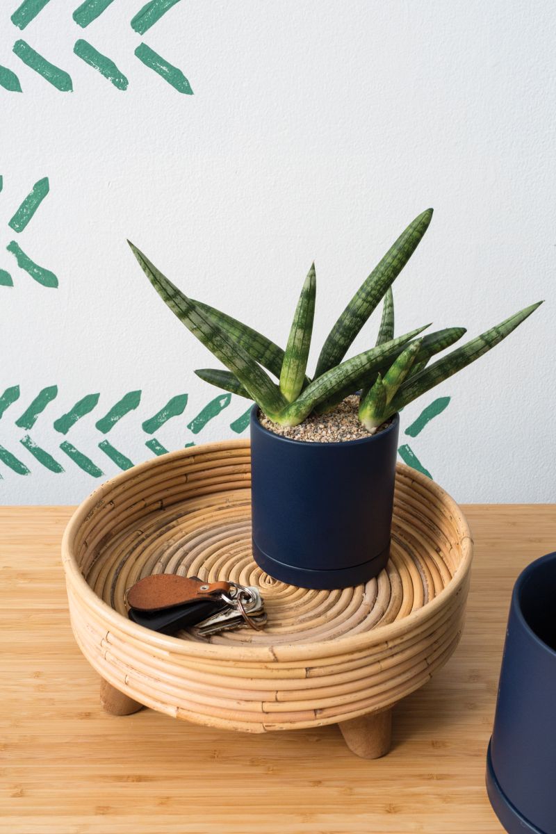 Romey Pot 4.25"x 4.75" Set Of 4 By Accent Decor | Planters, Troughs & Cachepots | Modishstore - 3