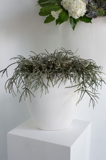 Sasso White Vase By Accent Decpr | Vases | Modishstore - 1