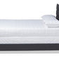 baxton studio ansa modern and contemporary dark grey fabric upholstered full size bed | Modish Furniture Store-3