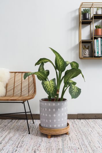 SPOT ON POT Ceramic Planter By Accent Decor | Planters, Troughs & Cachepots | Modishstore - 1