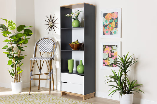 Baxton Studio Reed Mid-Century Modern Multicolor 2-Drawer Wood Living Room Bookshelf | Modishstore | Bookcases