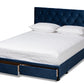 Baxton Studio Caronia Modern and Contemporary Navy Blue Velvet Fabric Upholstered 2-Drawer Queen Size Platform Storage Bed | Beds | Modishstore - 6