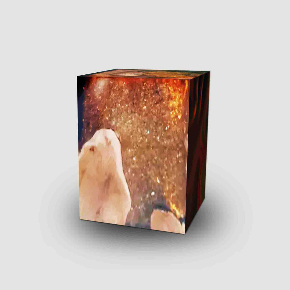 Teak Root & Cracked Resin Stool- Ochre/Brown | Stools | Modishstore - 4
