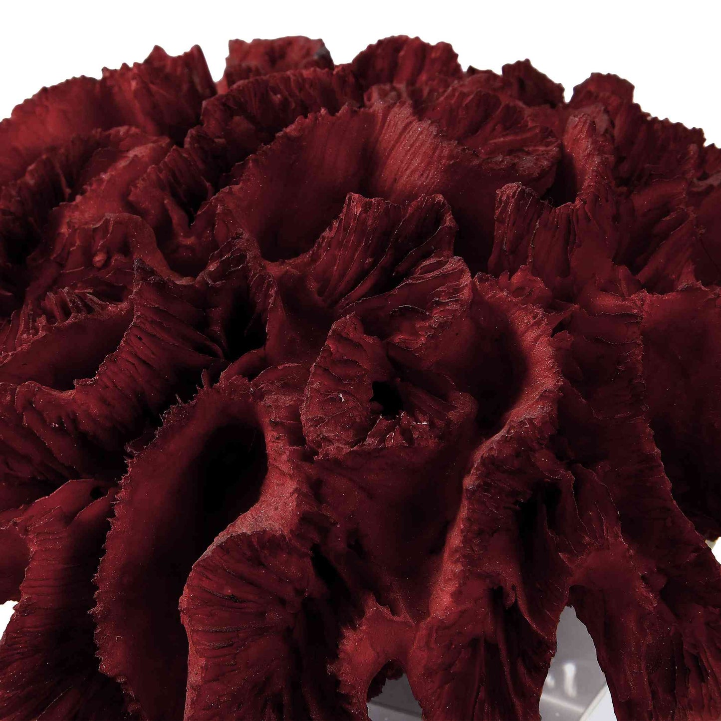 Uttermost Red Coral Cluster | Sculptures | Modishstore - 3