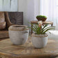 Uttermost Aponi Concrete Ray Bowls, Set Of 2 | Decorative Bowls | Modishstore - 5