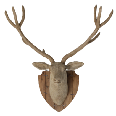 Trophy Heads of Animal & Animals Wall Sculptures – Modish Store