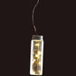 Glow Worm Bottle String of Lights | ModishStore | Holiday