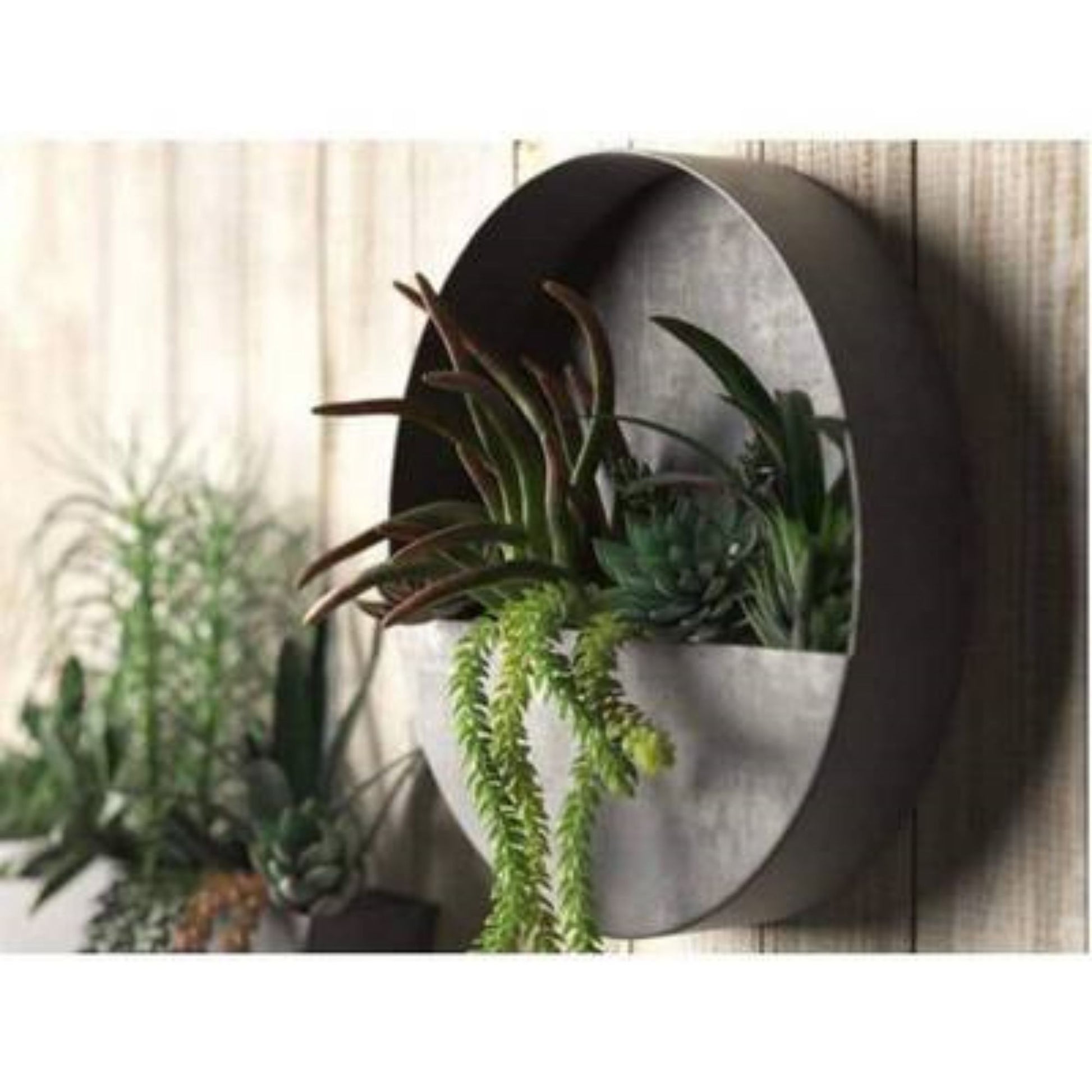 Wall Planters- Zinc Indoor/Outdoor Planters-Circle & Semi Circle by Artisan Living | ModishStore | Planters, Troughs & Cachepots-15