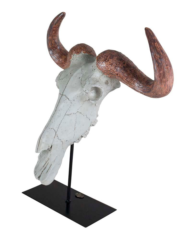 Buffalo Skull  by Authentic Models | Trophy Head | Modishstore