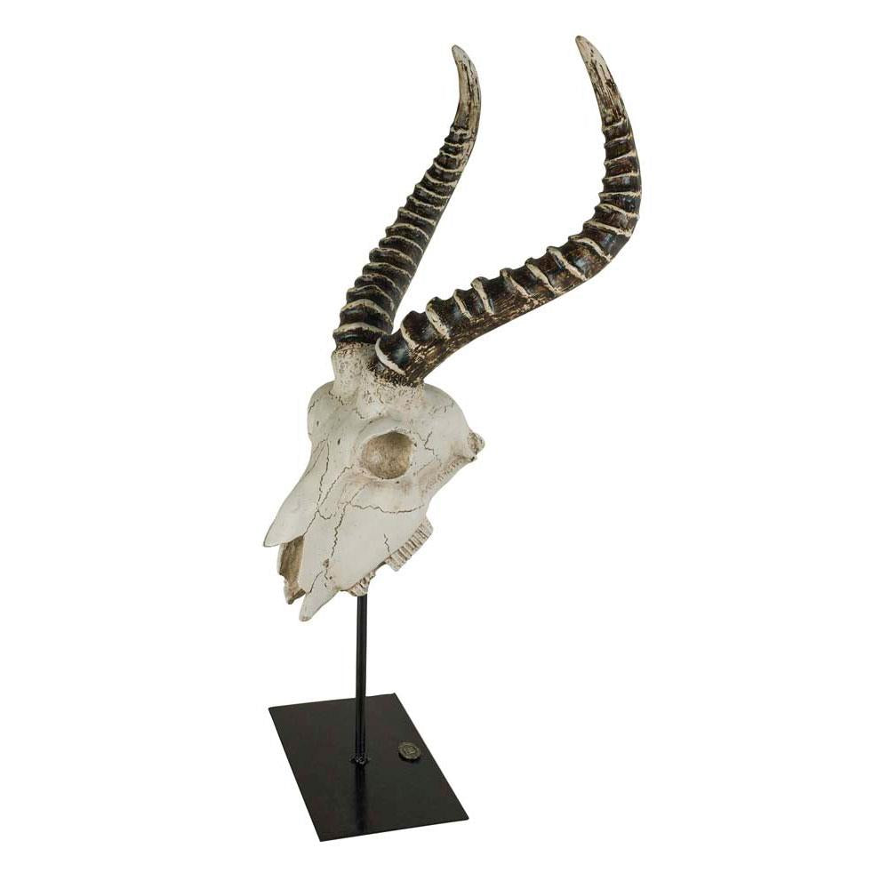 Antelope Skull by Authentic Models | Trophy Head | Modishstore