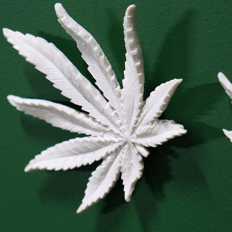 Wall Play Substrate, Cannabis By Gold Leaf Design Group | Wall Decor | Modishstore - 2