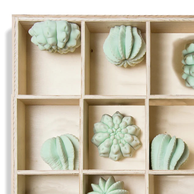 Shadow Box w/Cactus Wall Play, By Gold Leaf Design Group | Wall Art | Modishstore - 2