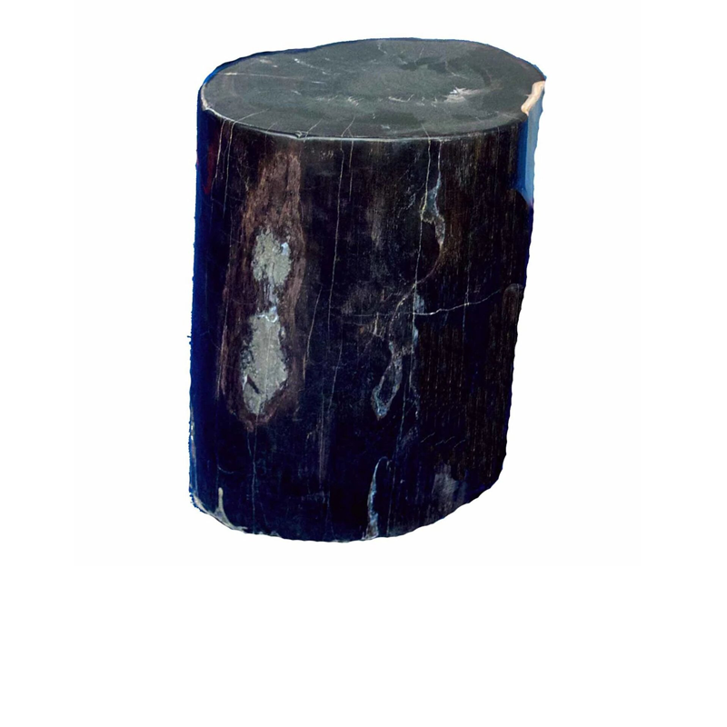 Petrified Wood Accent Stool-Ebony Black/Cream Side Table  by Aire Furniture | Petrified Wood Stools | Modishstore