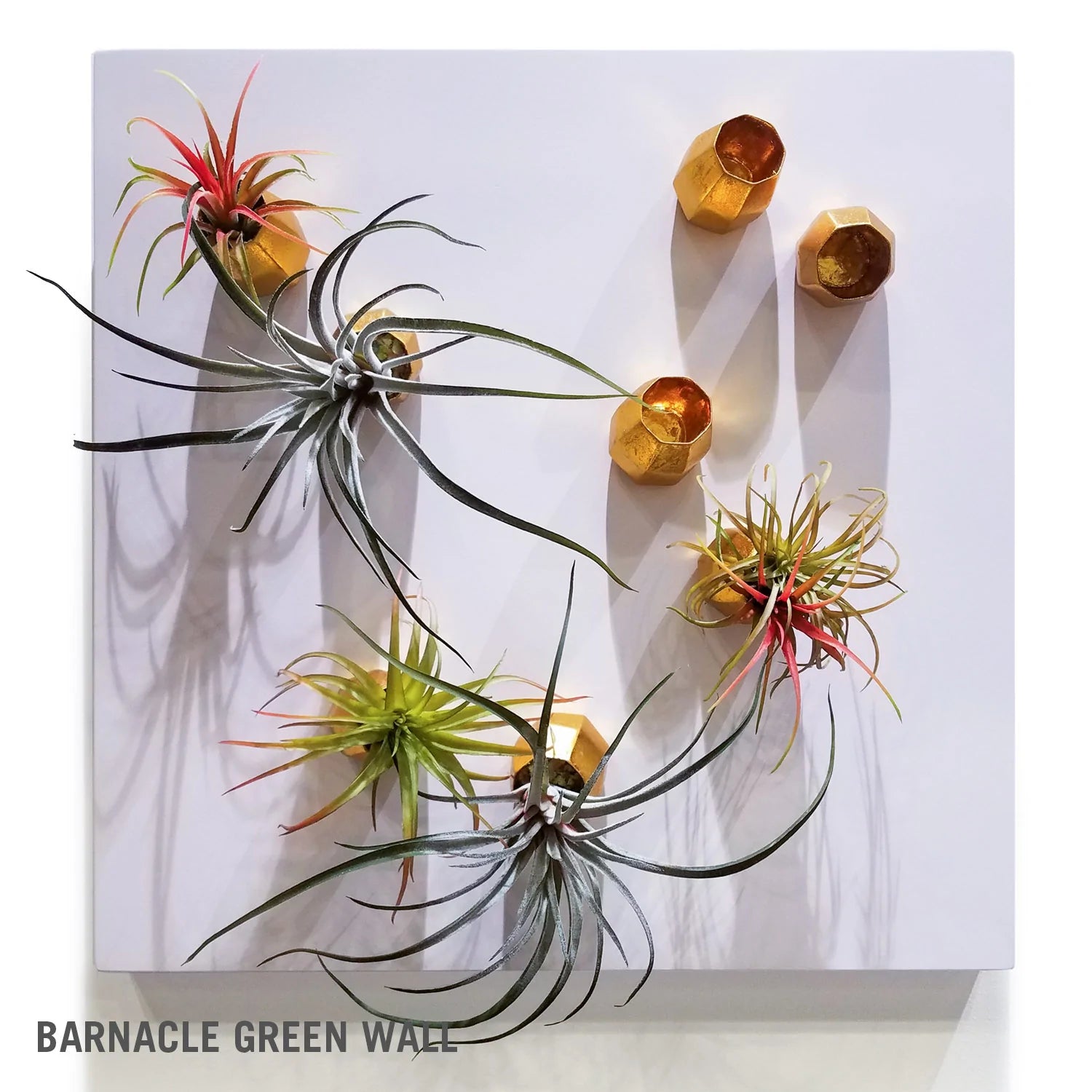 Wall Play Barnacle Foil Gold Set Of 20 By Gold Leaf Design Group | Wall Decor | Modishstore - 3