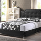 Baxton Studio Carlotta Black Modern Bed with Upholstered Headboard - King Size | Modishstore | Beds