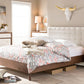 Baxton Studio Alinia Mid-century Retro Modern Grey Fabric Upholstered Walnut Wood Full Size Platform Bed | Beds | Modishstore - 6