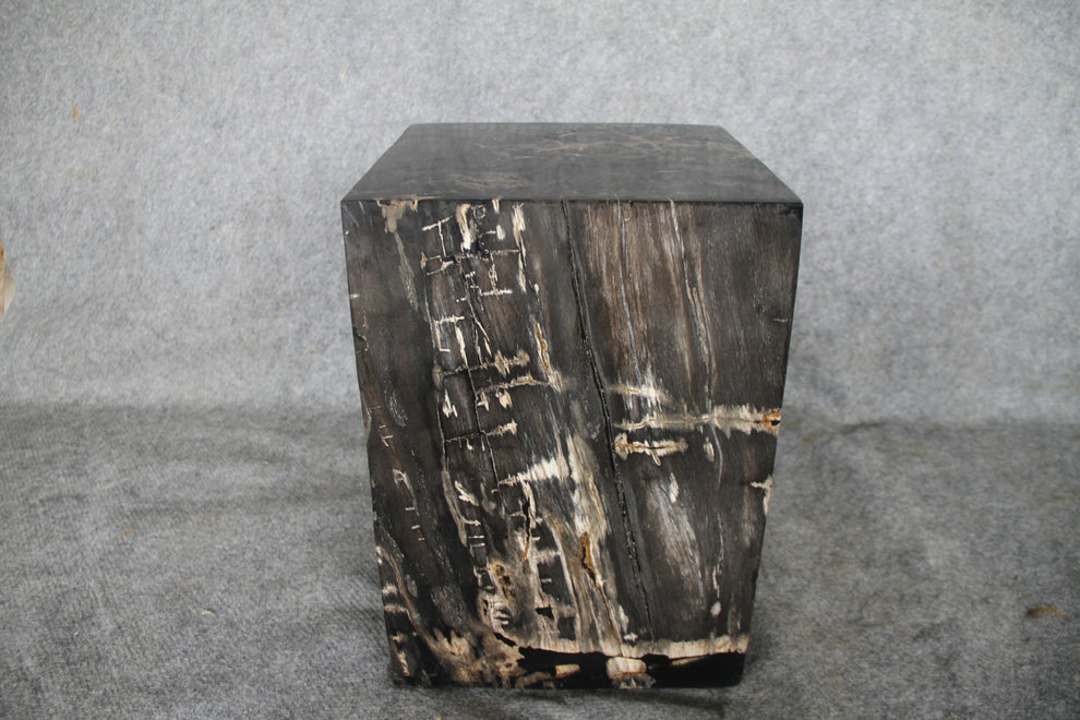 Square Petrified Wood Log Stool 18" x 12" x 12" - BK.77 | Petrified Wood Stools | Modishstore-5