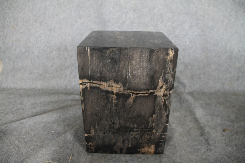 Square Petrified Wood Log Stool 18" x 12" x 12" - BK.77 | Petrified Wood Stools | Modishstore-4