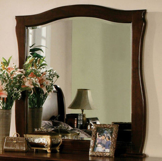 Esperia Dark Walnut Transitional Style Mirror By Benzara | Mirrors |  Modishstore 