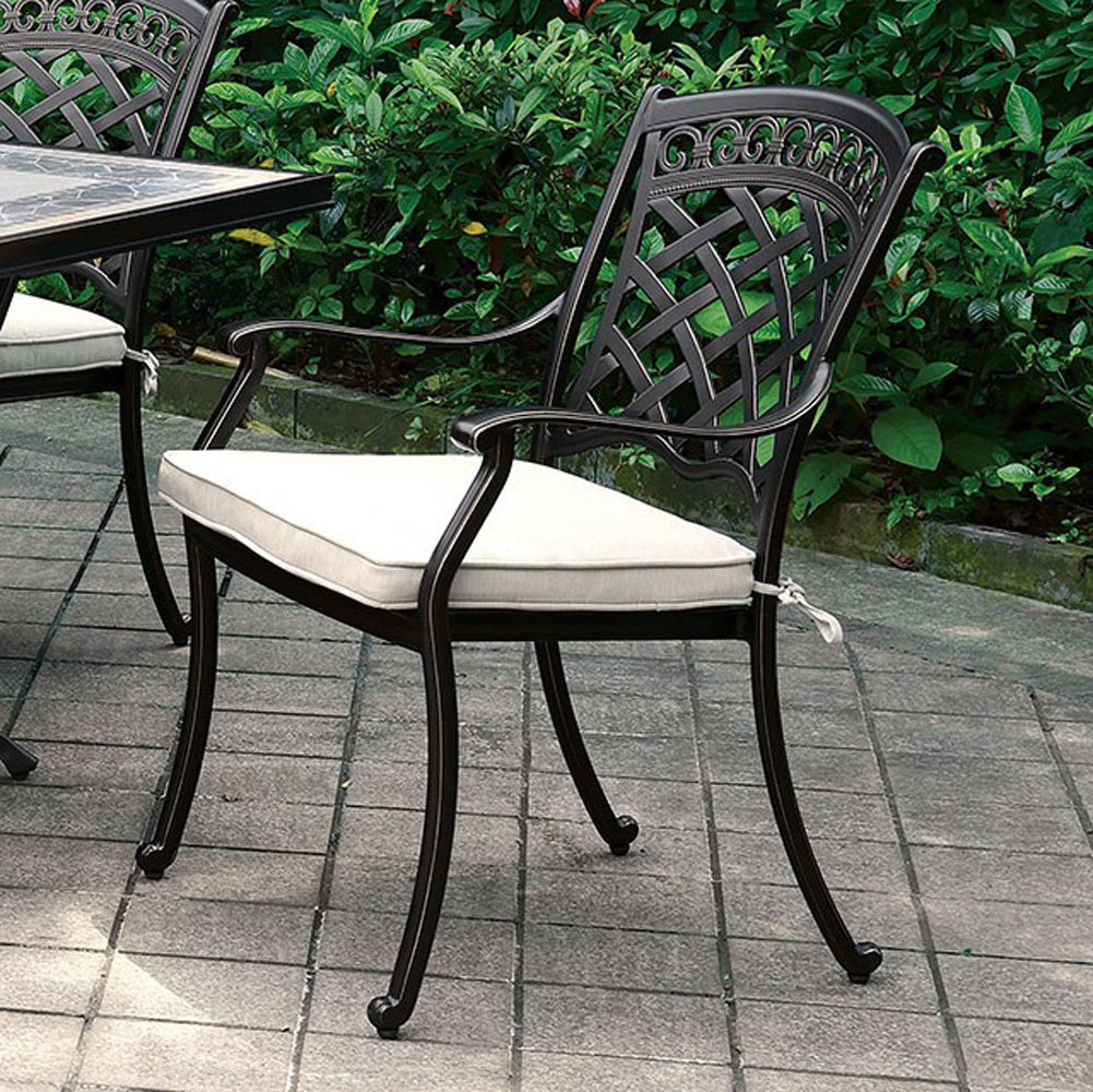 Charissa Transitional Arm Chair, Pack Of Two, Antique Black  By Benzara | Armchairs |  Modishstore 