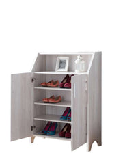 2 Door Wooden Shoe Cabinet With Top Shelf Storage, White By Benzara