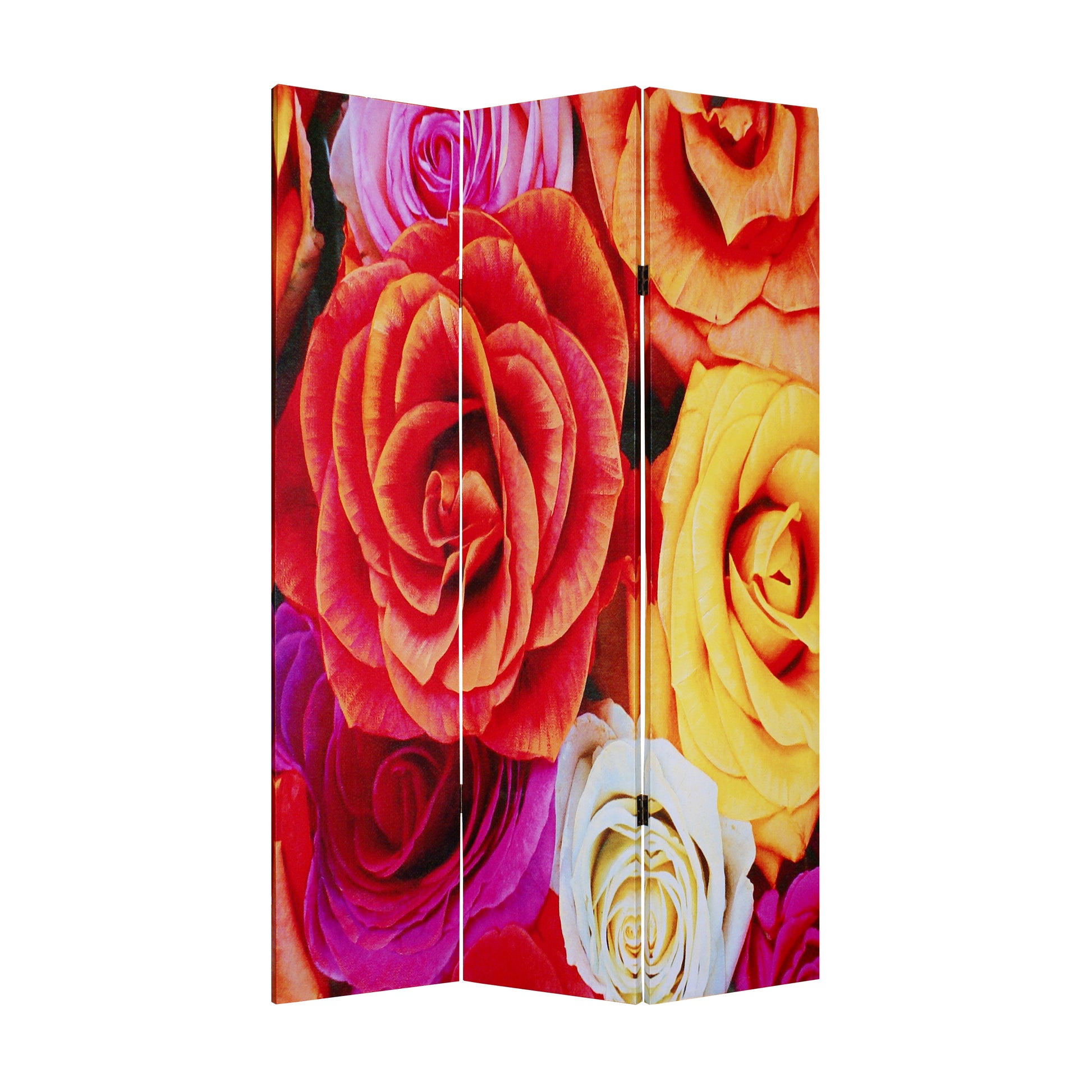 3 Panel Canvas Screen With Contrasting Flower Print, Multicolor By Benzara | Room Divider |  Modishstore 