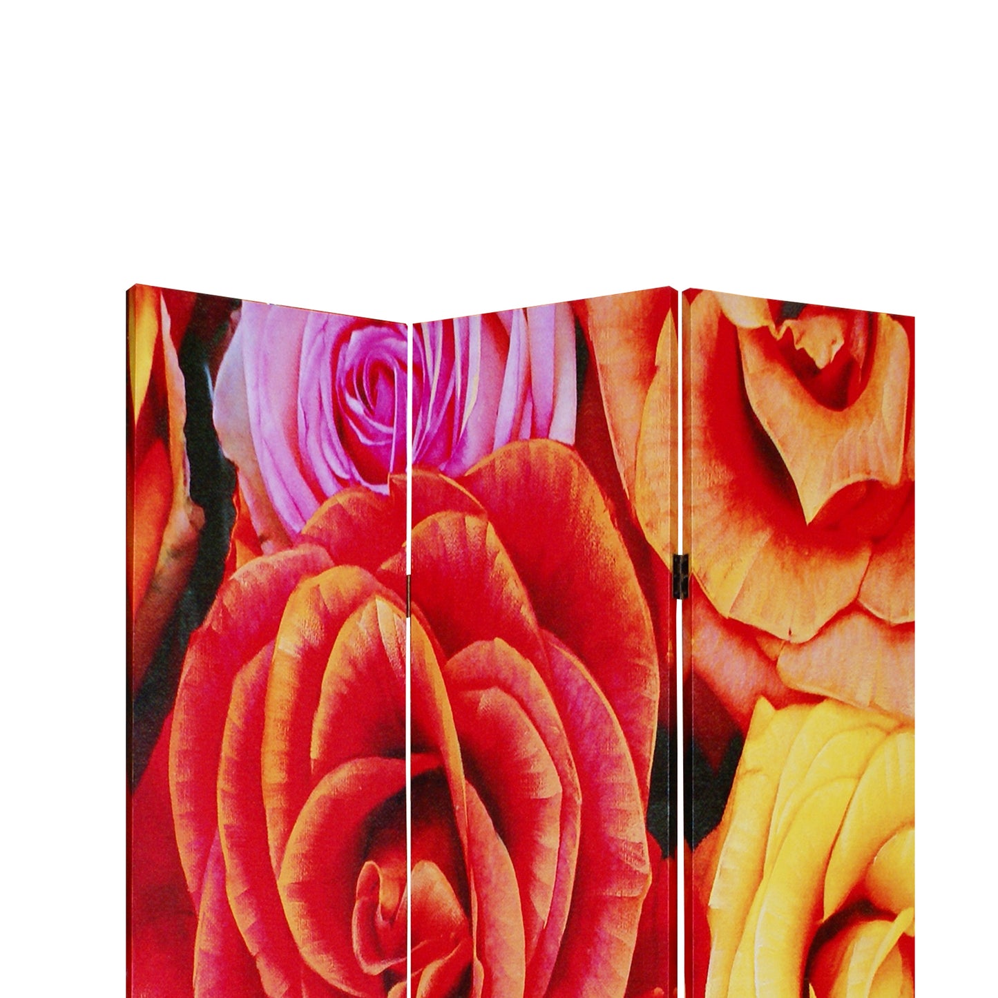 3 Panel Canvas Screen With Contrasting Flower Print, Multicolor By Benzara | Room Divider |  Modishstore  - 3