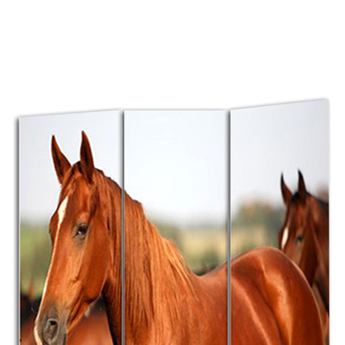 3 Panel Foldable Wooden Screen With Horse Print, Brown By Benzara | Room Divider |  Modishstore  - 3