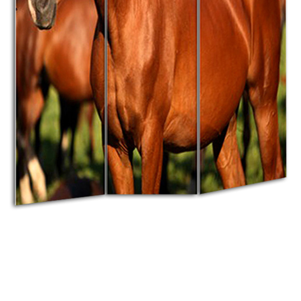 3 Panel Foldable Wooden Screen With Horse Print, Brown By Benzara | Room Divider |  Modishstore  - 5