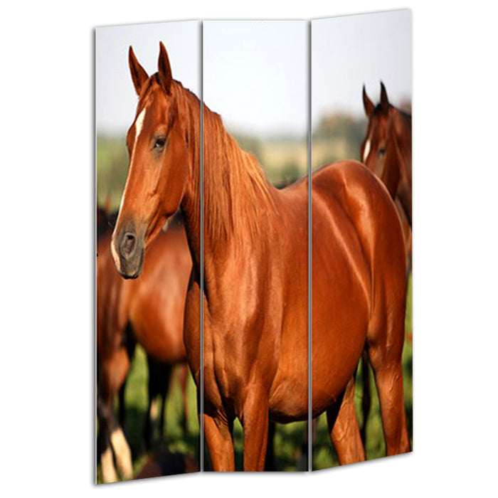 3 Panel Foldable Wooden Screen With Horse Print, Brown By Benzara | Room Divider |  Modishstore 