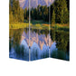 3 Panel Landscape Print Foldable Canvas Screen, Multicolor By Benzara | Room Divider |  Modishstore  - 5
