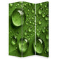 Morning Dew Print Foldable Canvas Screen With 3 Panels, Green By Benzara | Room Divider |  Modishstore 
