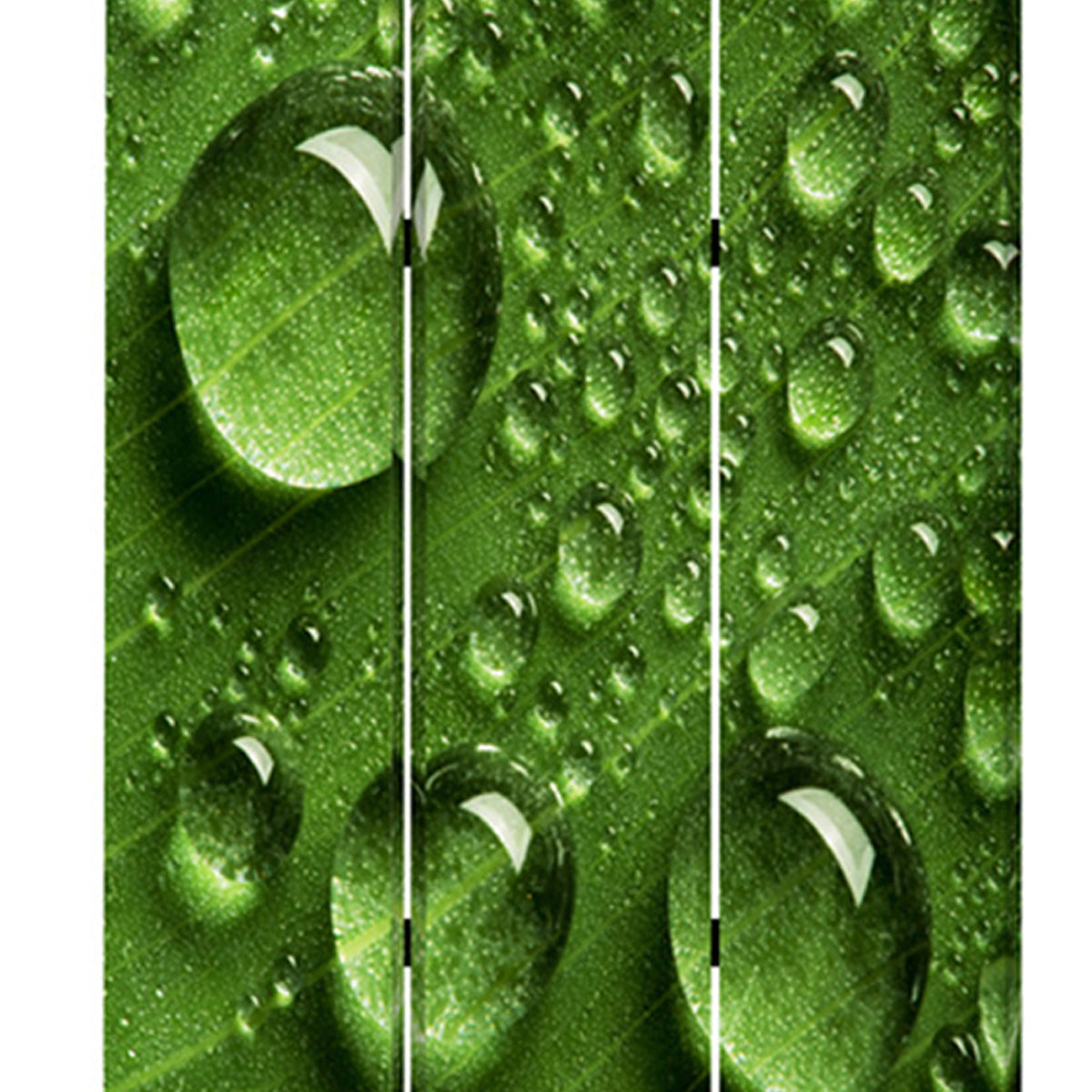 Morning Dew Print Foldable Canvas Screen With 3 Panels, Green By Benzara | Room Divider |  Modishstore  - 4