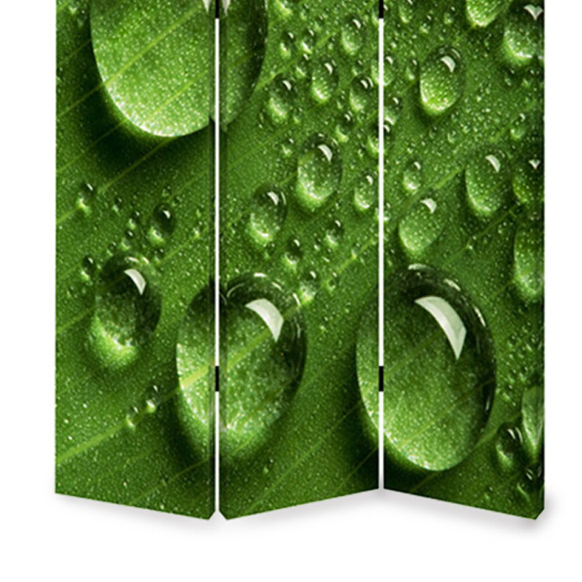Morning Dew Print Foldable Canvas Screen With 3 Panels, Green By Benzara | Room Divider |  Modishstore  - 5