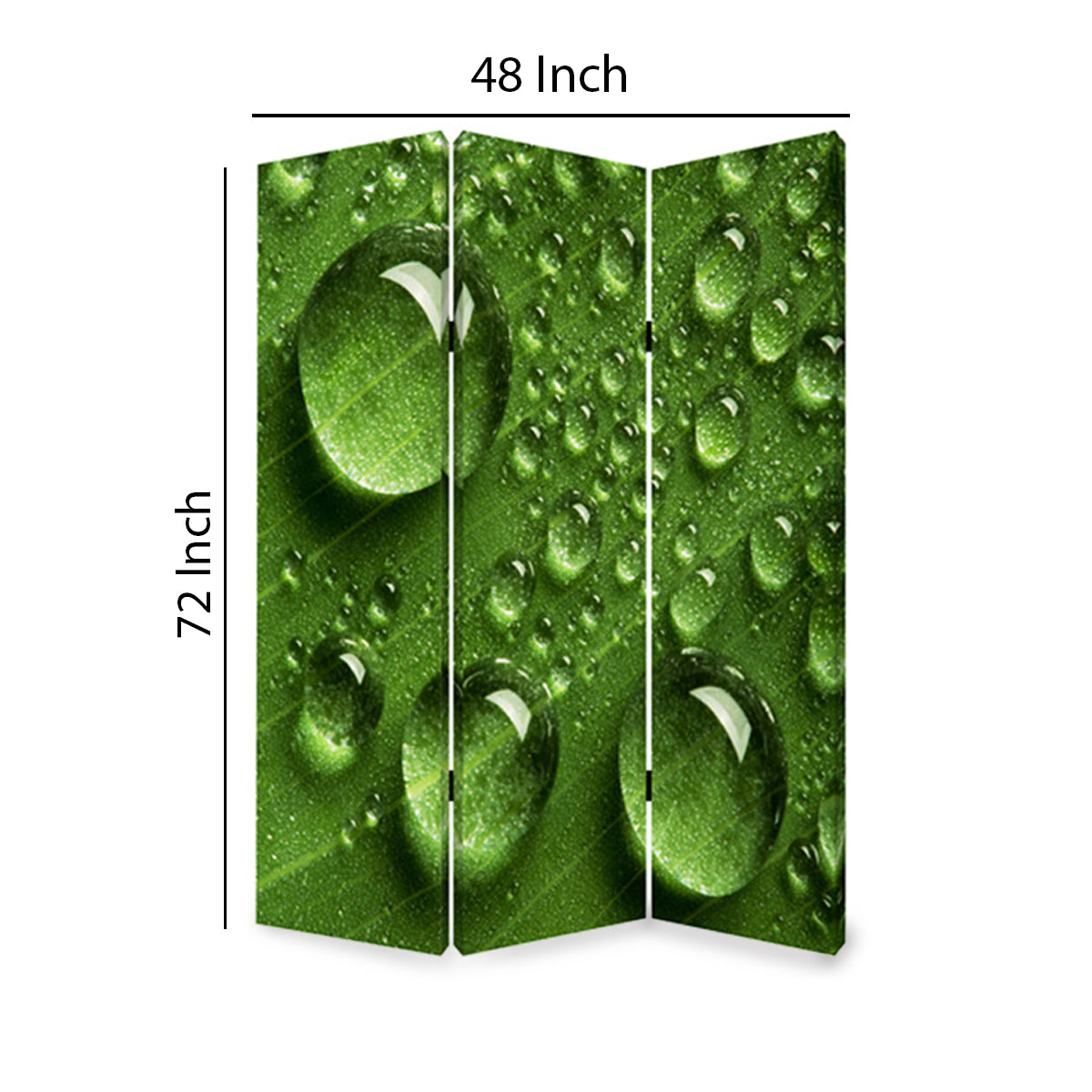 Morning Dew Print Foldable Canvas Screen With 3 Panels, Green By Benzara | Room Divider |  Modishstore  - 6