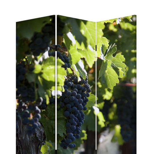 Grape Vine Print Foldable Canvas Screen With 3 Panels, Multicolor By Benzara | Room Divider |  Modishstore 