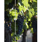Grape Vine Print Foldable Canvas Screen With 3 Panels, Multicolor By Benzara | Room Divider |  Modishstore  - 5