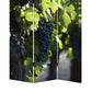 Grape Vine Print Foldable Canvas Screen With 3 Panels, Multicolor By Benzara | Room Divider |  Modishstore  - 4