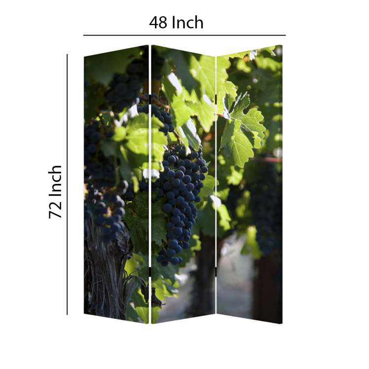 Grape Vine Print Foldable Canvas Screen With 3 Panels, Multicolor By Benzara | Room Divider |  Modishstore  - 3
