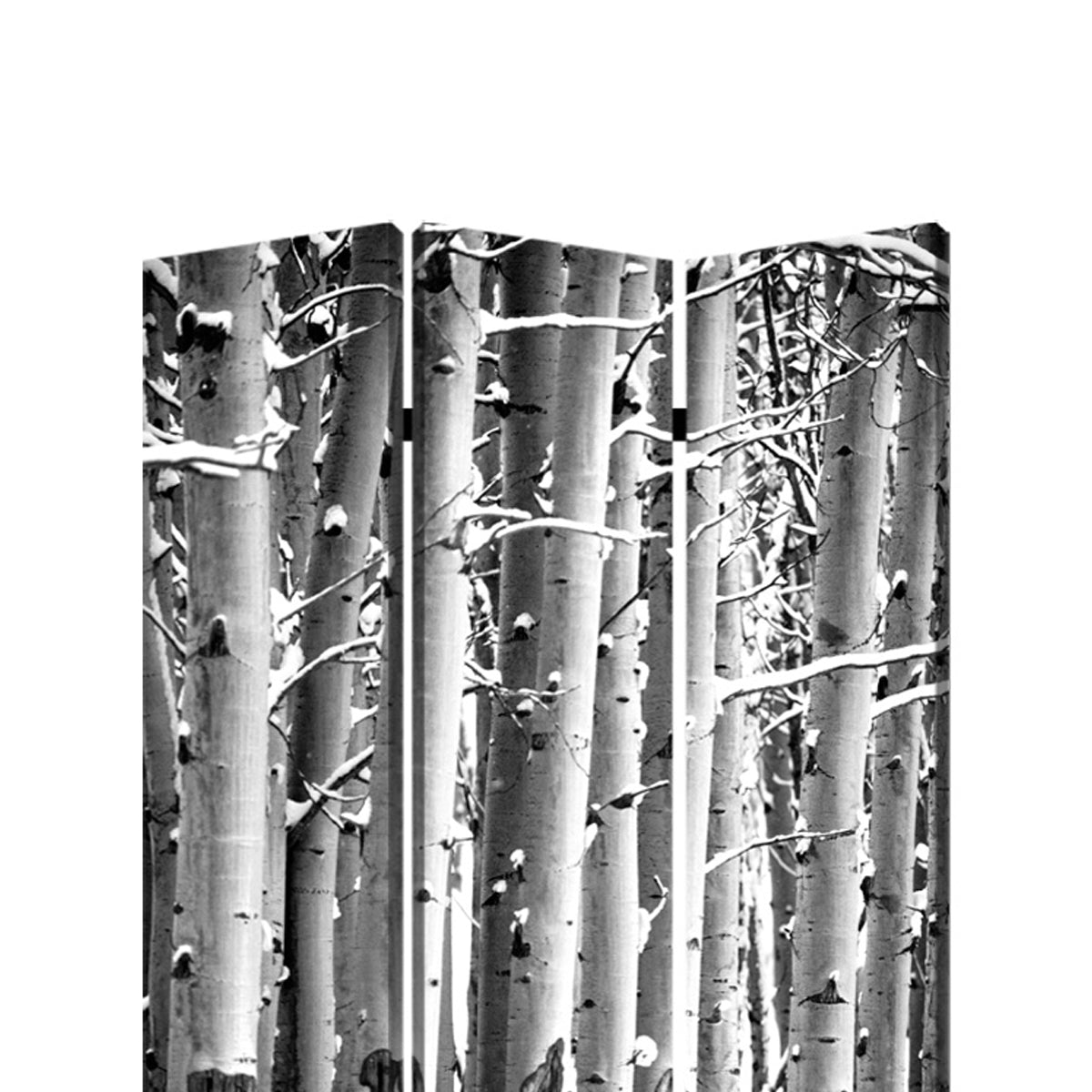 3 Panel Canvas Foldable Screen With Birch Print, Black And White By Benzara | Room Divider |  Modishstore  - 3