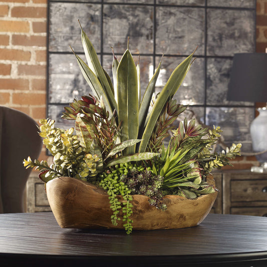 Uttermost Salar Succulents In Teak Bowl | Modishstore | Decorative Bowls